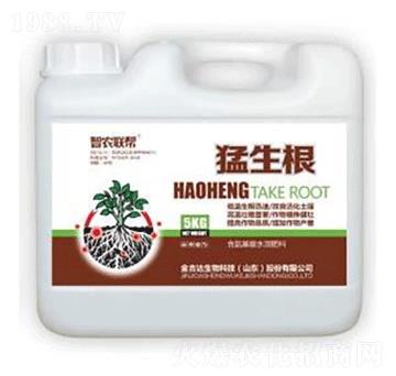 ������-���_