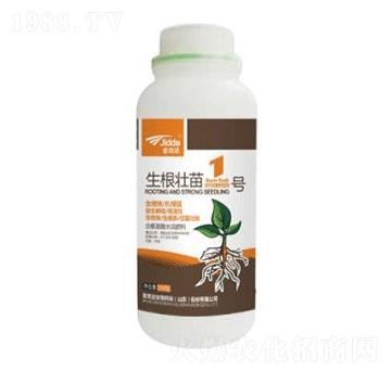 ��������1̖-���_