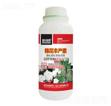 �޻��S�a(ch��n)��-���_