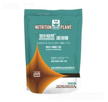 ������-���_(d��)