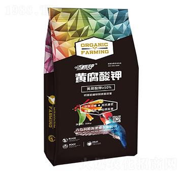 �S�����-�����-����Դ�ʘI(y��)