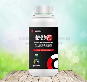 �Ǵ��}-Ӣ�����R˹