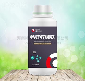 �}�V�\���F-Ӣ�����R˹