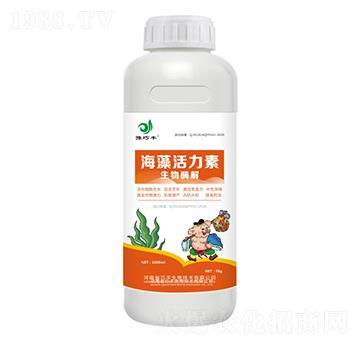 ��������أ�ƿ��-ԥ���S