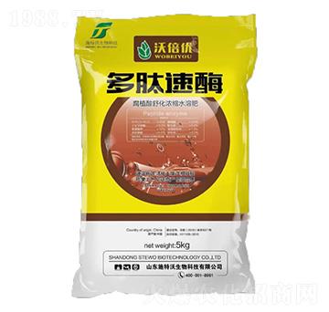 ������ø-�ֱ���(y��u)-ʩ����