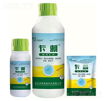 ����-���ֲ��