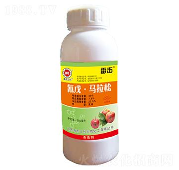 30%���졤�R����-�ד�-��������