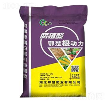 ��ֲ�����(d��ng)��-����-����ɽ