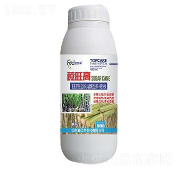 �������L(zh��ng)���ֶ���Һ-������-���|�S