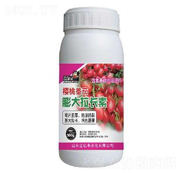 ���ҷ���������L(zh��ng)��-���|�S