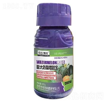 ������������-���|�S