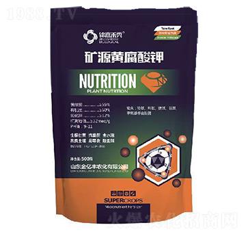 �VԴ�S�����-���|�S