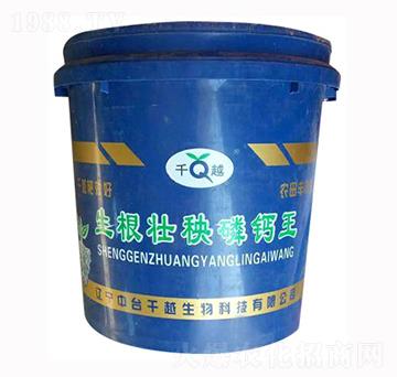 �����������}��-ǧԽ