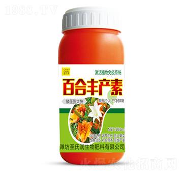 �ٺ��S�a(ch��n)��-ʥ�ϝ�