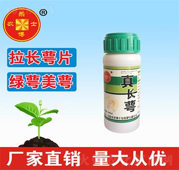 ���L��-���r(n��ng)��ʿ