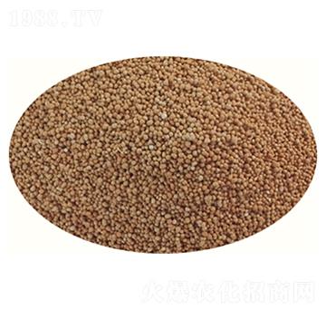 ��ጲ�ƺ��-�۱̵؃�(y��u)-�߸�