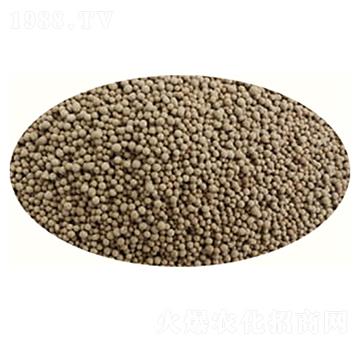 �}�Vʯ���w����-������-�߸�