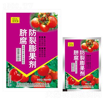 Ě�����������-ʥ�ϝ�