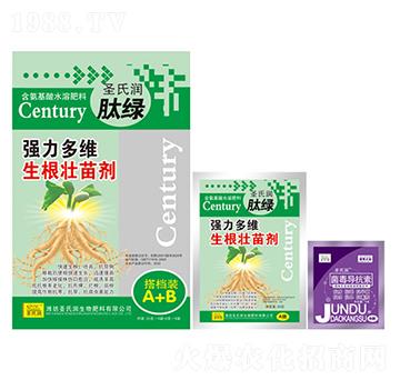 ��(qi��ng)����S�������焩����n�bA+B��-ʥ�ϝ�