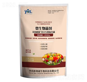 ���܌�(zhu��n)�Ï�(f��)�Ͼ�-��������-������