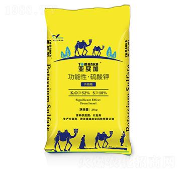 �����͡������-���I(m��i)��-�����r(n��ng)�I(y��)