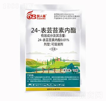 24-���|̦�؃�(n��i)��-��