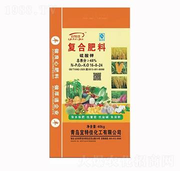 �ͺϷ���16-8-24-���ؼ�