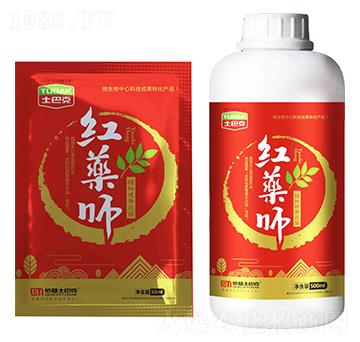 ֲ�｡������-�t�a��-���Ϳ�