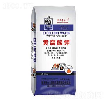 �S�����-���ϻ���