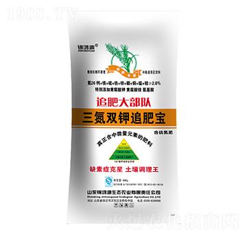 �����p�׷�ʌ�26-0