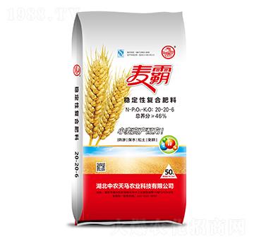 ��(w��n)���ԏ�(f��)�Ϸ���20-20-6-����-�����S