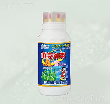 ��ѿ����~���-���@����