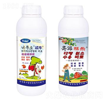 ������⛷�-߯ţ-�A��