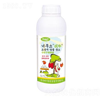 С�����Ǵ���-߯ţ-�A��