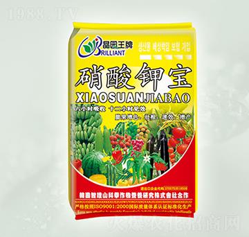 ����⛌�-���@����