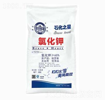 �Ȼ��-ʯ��֮��-�춦