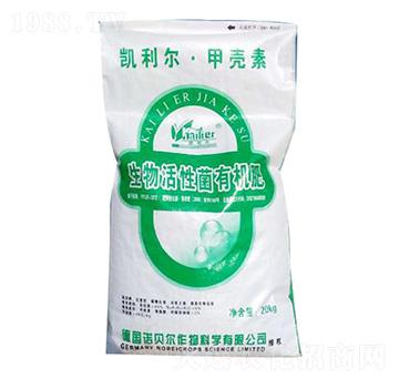 ������Ծ��ЙC��-�P����