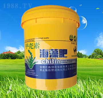 �ך��غ����-��������