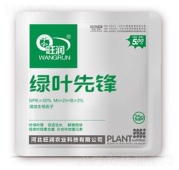 �G�~���h-�����r(n��ng)�I(y��)