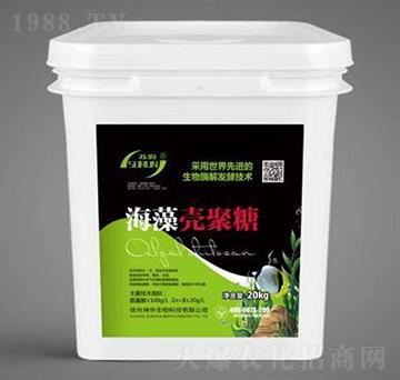 ���嚤����-���A����