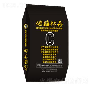 ̼ø��������̼���-̼ø��-��Z�r�I(y��)