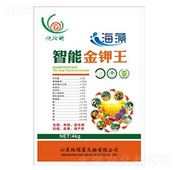 �������ܽ����-�عڸ�