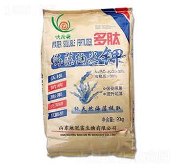 ����{���-�عڸ�