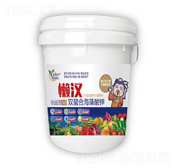 �p���Ϻ������-�Нh-������