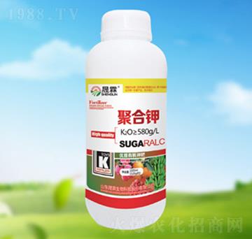 �ۺ��-��������