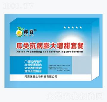 �������������ײ�-�������