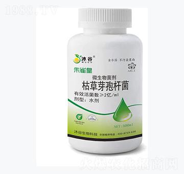 �ݲ�ѿ�ߗU��-��ȸ��-�������