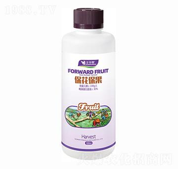 ����������-�S�A��-�S�A�ʘI(y��)