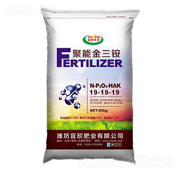 ���ܽ����@19-19-19-�����S�r(n��ng)