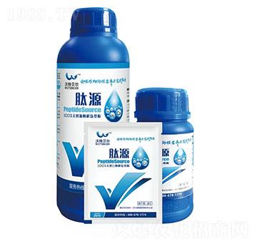 ��Դ-����ؐ��-���r�|��